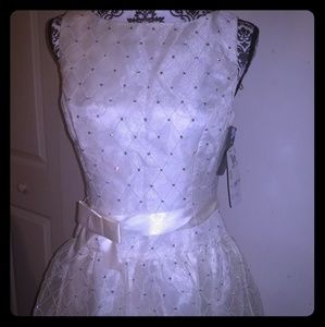 Nwt adriana papell evening dress